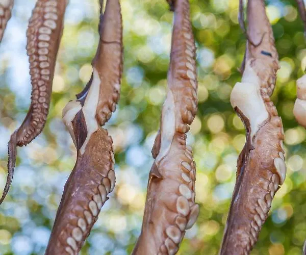 Deluxe Santorini Sunset Santorini 1 Bedroom Outdoor Jacuzzi Villa Fira (Santorini)