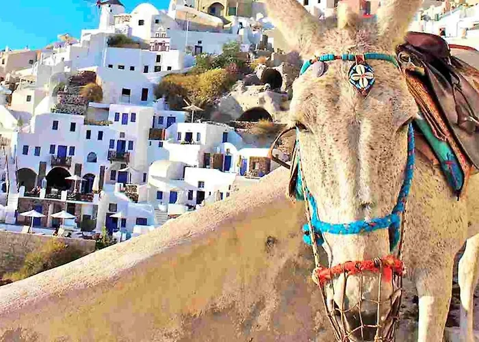 Deluxe Santorini Sunset Santorini 1 Bedroom Outdoor Jacuzzi * Fira (Santorini)