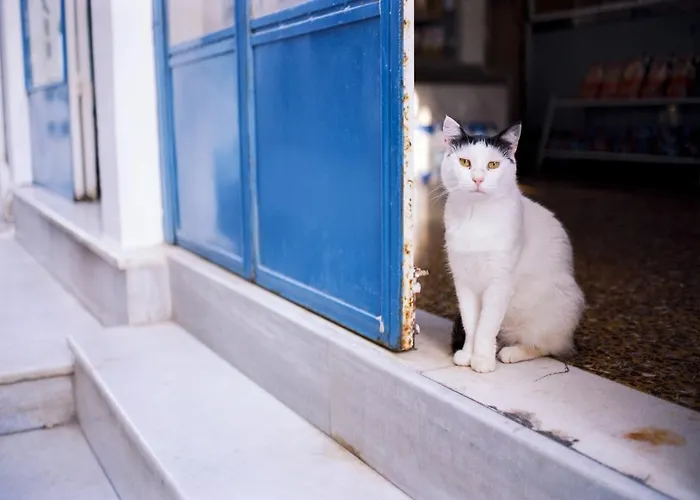 Deluxe Santorini Sunset Santorini 1 Bedroom Outdoor Jacuzzi Fira (Santorini)