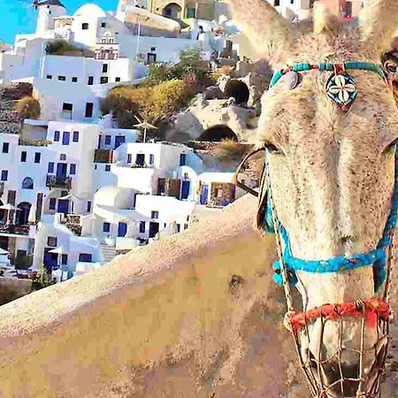 Deluxe Santorini Sunset Santorini 1 Bedroom Outdoor Jacuzzi * Fira (Santorini)
